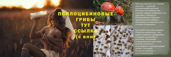трава Щучье