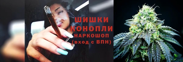 стаф Майский