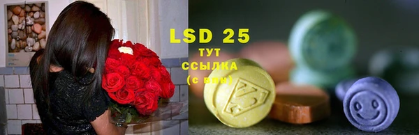 стаф Майский