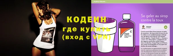 стаф Майский