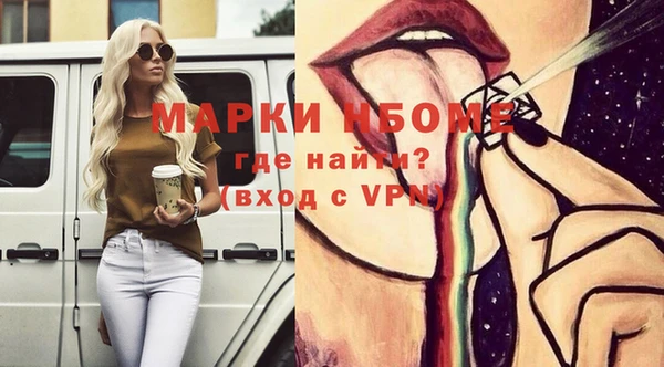 стаф Майский
