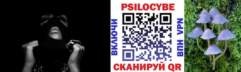 купить закладку shop Telegram Галлюциногенные грибы мицелий Ачхой-Мартан